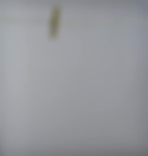 The clothespin (preview)