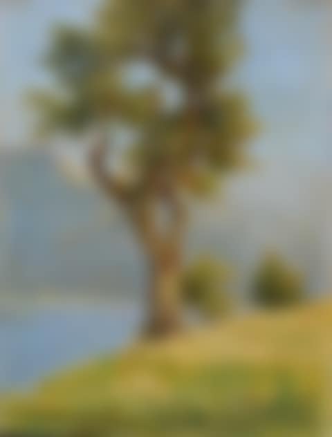Lake landscape with trees (preview)