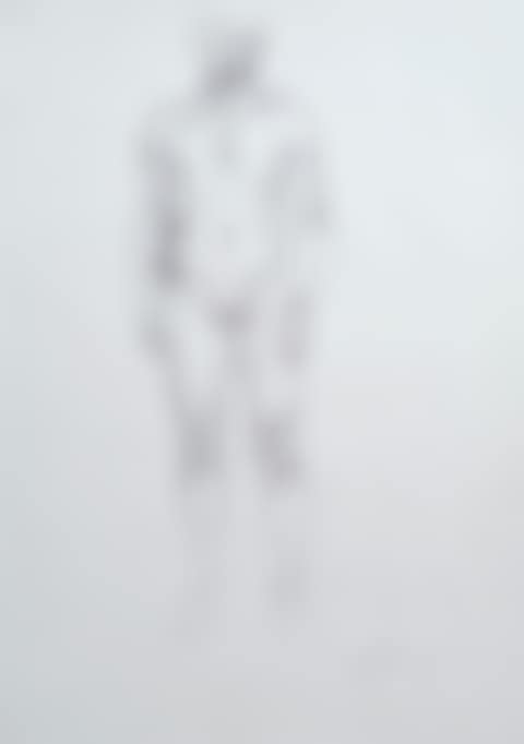 Figure (preview)