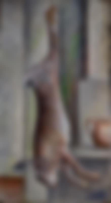 Hare (preview)