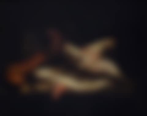 Still life with fish and crab (preview)
