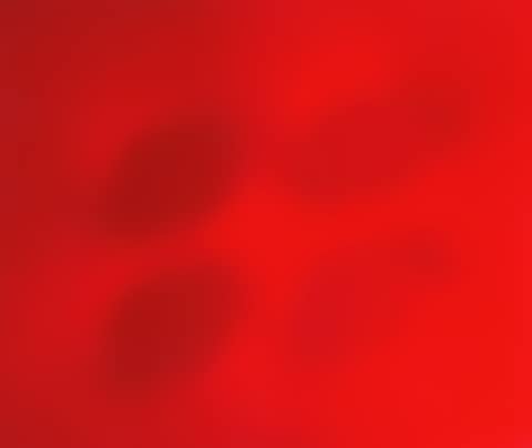 4 red ovals (preview)