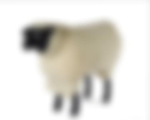 Sheep (preview)