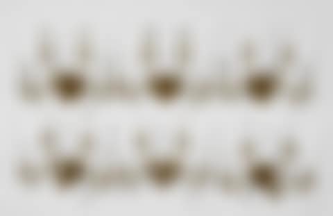 Six Appliques (preview)