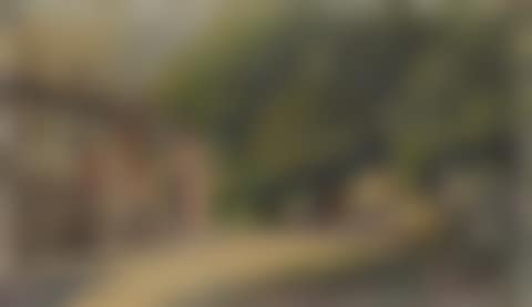 Country road with houses (preview)