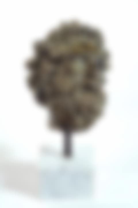 Head of Lacoön (preview)