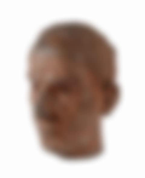 Manly portrait (preview)