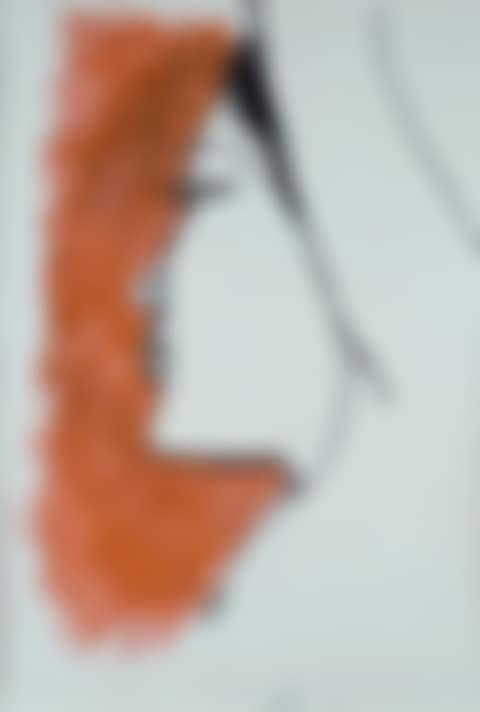 Profile (preview)