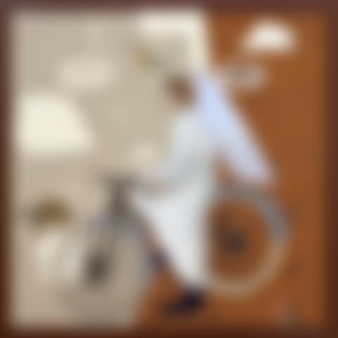 He who flies on foot wrinkles his wings (preview)