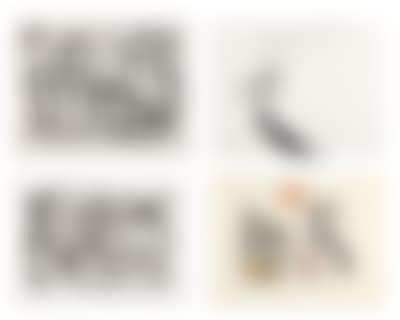 Portfolio of Works * (preview)