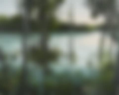 Untitled. (preview)