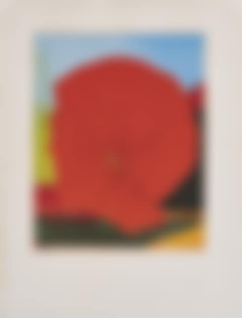 Rote Blume I. (preview)