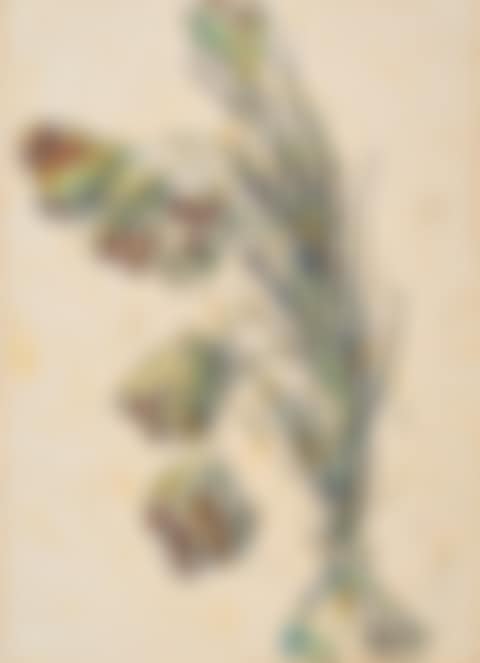 Untitled (preview)