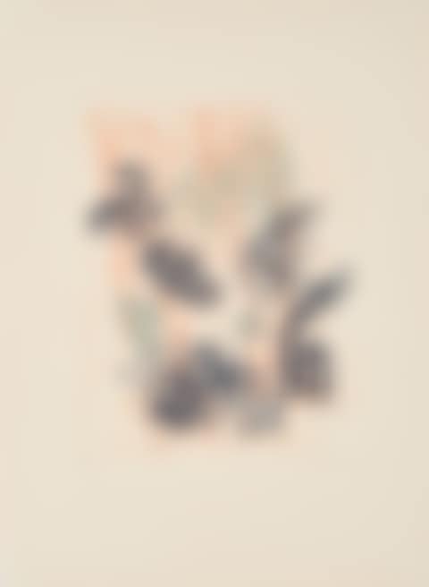 Untitled (preview)