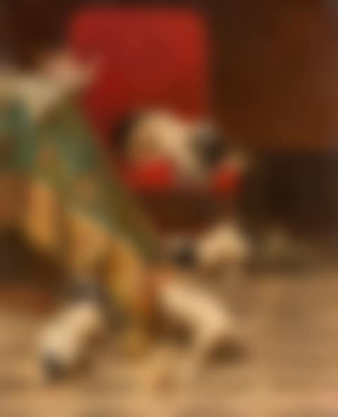 Playing puppies. (preview)