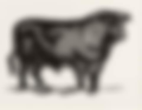 Bull I (Bull Profile Series). (preview)