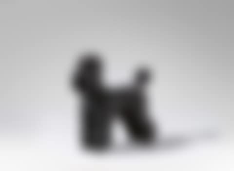 Pudel. (preview)