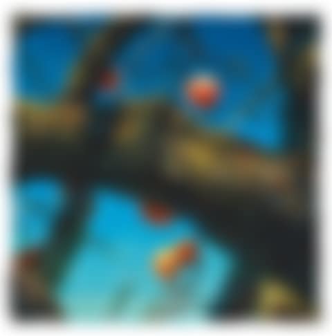 Persimmons (preview)