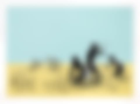 Trolleys (Color) (preview)