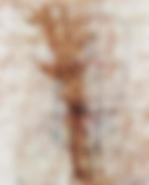 Untitled (Edipo re es). (preview)