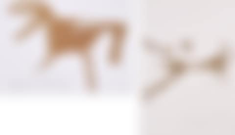 Subsigns from the brown space I / The shaman (preview)