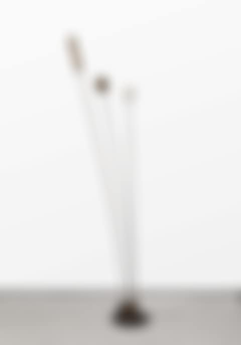 Signal. (preview)