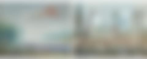 Pair of views (preview)
