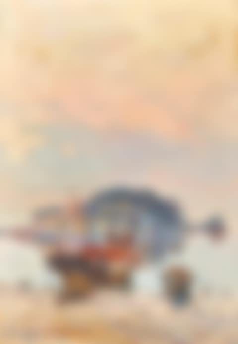 Italian coastal areas. counterparts (preview)