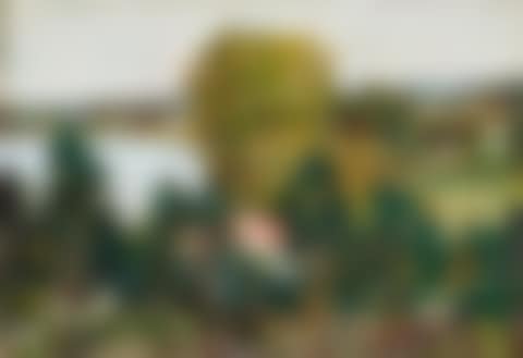 Lake of Schwerin (preview)