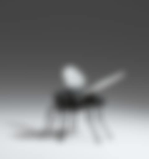 Fliege. (preview)