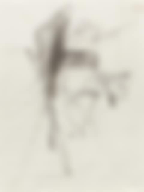 Untitled. (preview)