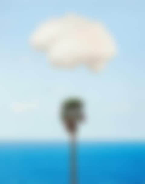 Brain Cloud (With Seascape and Palm Tree). (preview)