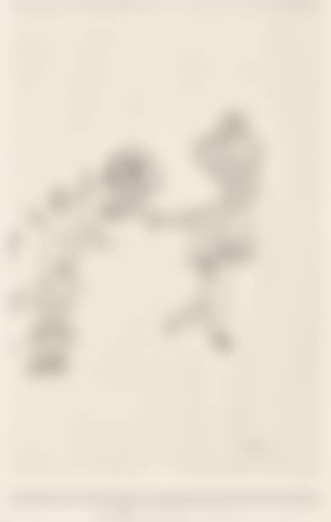"Unsuccessful"; "Ae.8" (preview)