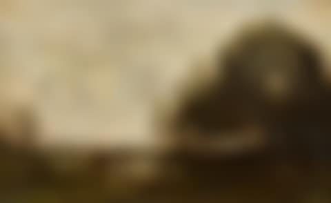 Cows at the edge of the pond (preview)
