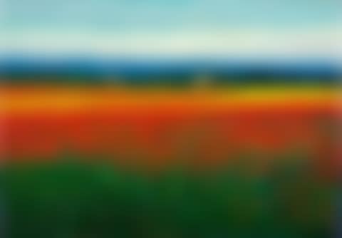 Poppy field (preview)