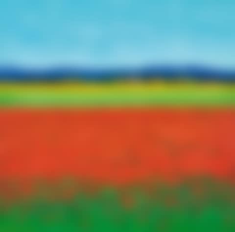 Coquelicots et mas de provence (preview)