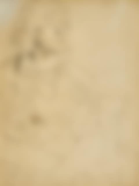 Seated woman (preview)