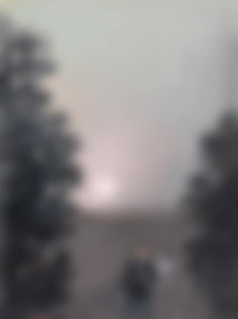 A Painter (preview)