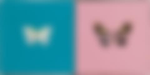 Love, Love (preview)