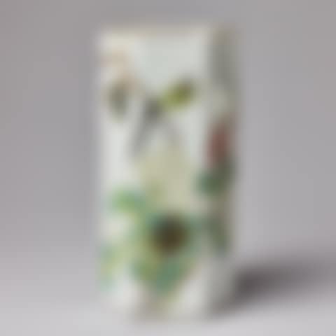 A FAMILY ROSE BRUSH VASE (preview)