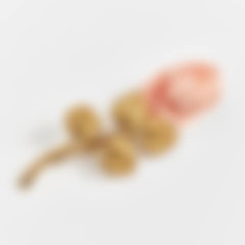BROOCH (preview)