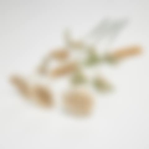 "Fleur Bluemay-Ode" (preview)