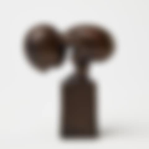 "The Ant". (preview)