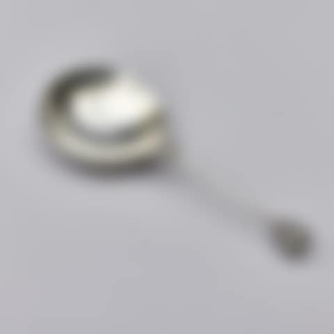 SPOON WITH CROWN KNOB (preview)