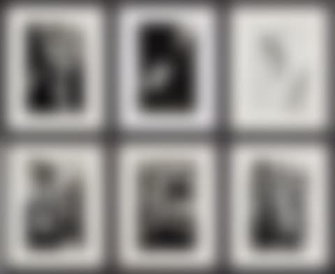 Special Collection, 24 Photo Lithos (preview)