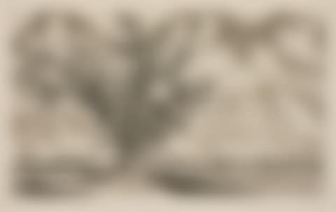 “Landscape near Viljandi” (Viljandi mastik). (preview)
