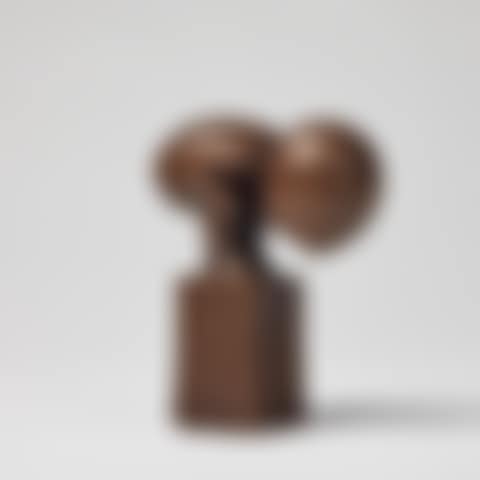 The ant (preview)