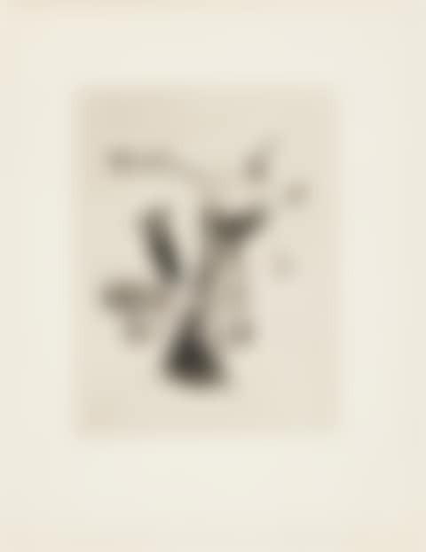 Untitled, from: Les chants de maldoror (Pl. XIX). (preview)
