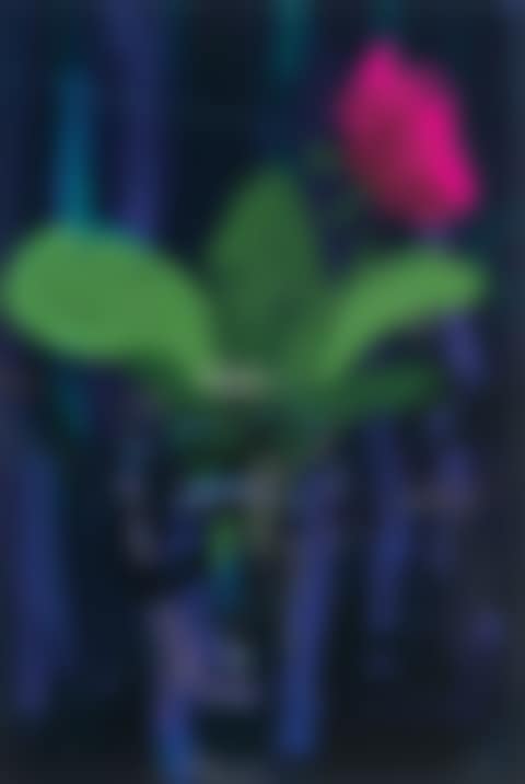 Pink Flower (preview)