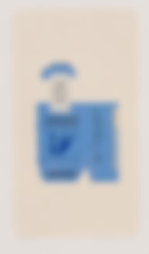 Gauloises Bleues (preview)